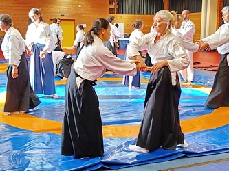 Aïkido stage le calendrier des stage aïkido traditionnel