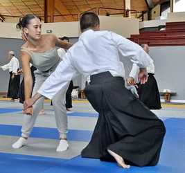  Aïkido Décines cours d'essai , découverte, semaine portes ouvertes