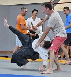  Aïkido Décines cours d'essai , découverte, semaine portes ouvertes