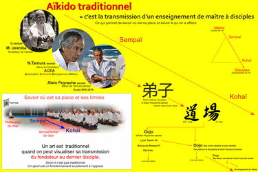  L'aïkido traditionnel transmission O Sensei Usehiba Tamura sensei Alain Peyrache sensei