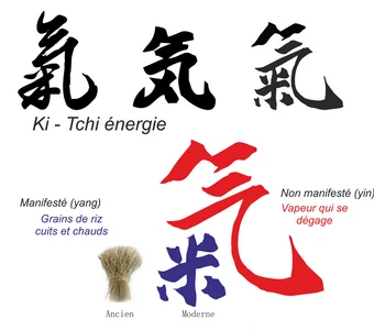  un maitre, un dojo  aïkido du dojo Décines 69