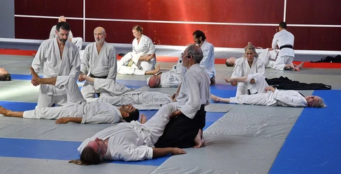  Aïkido Décines cours d'essai , découverte, semaine portes ouvertes