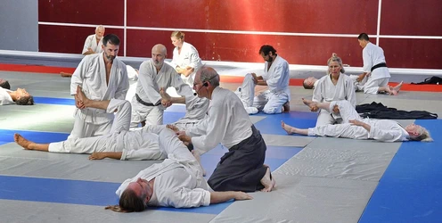  Aïkido Décines cours d'essai , découverte, semaine portes ouvertes