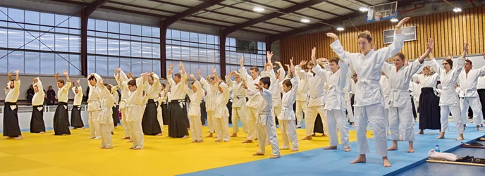  Aïkido Décines cours d'essai , découverte, semaine portes ouvertes