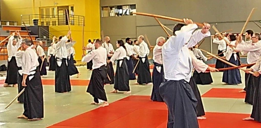  Aïkido Décines cours d'essai , découverte, semaine portes ouvertes