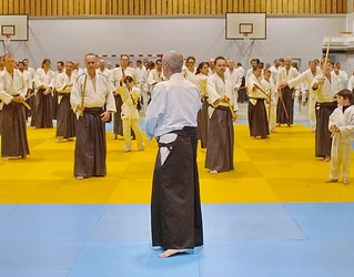  aïkido du dojo Décines 69 Notre sensei : Alain Peyrache